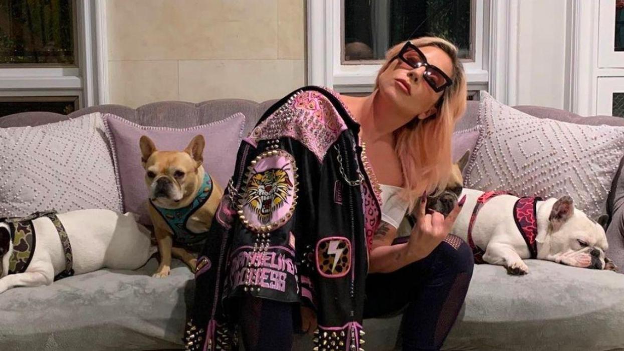 Lady Gaga Offers $500k Reward After Someone Shot Her Dog Walker And Stole Two Of Her Dogs