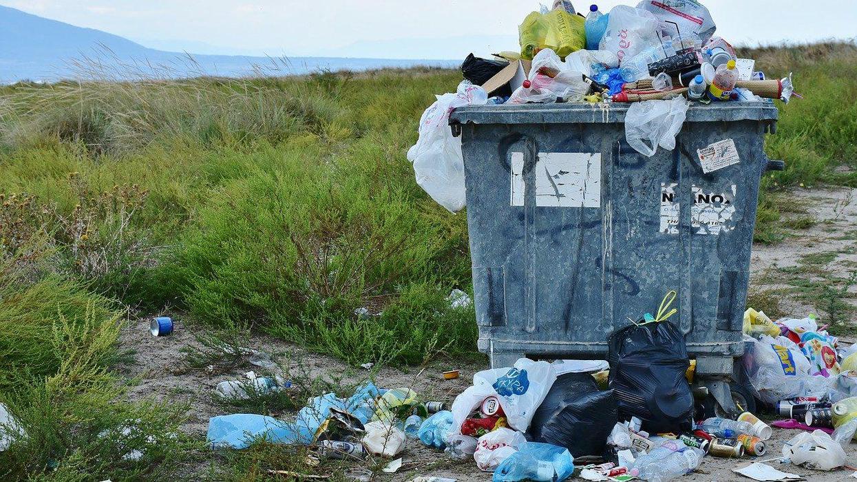 People Who Clean Up After Large Festivals Break Down The Craziest Things They've Found Left Behind