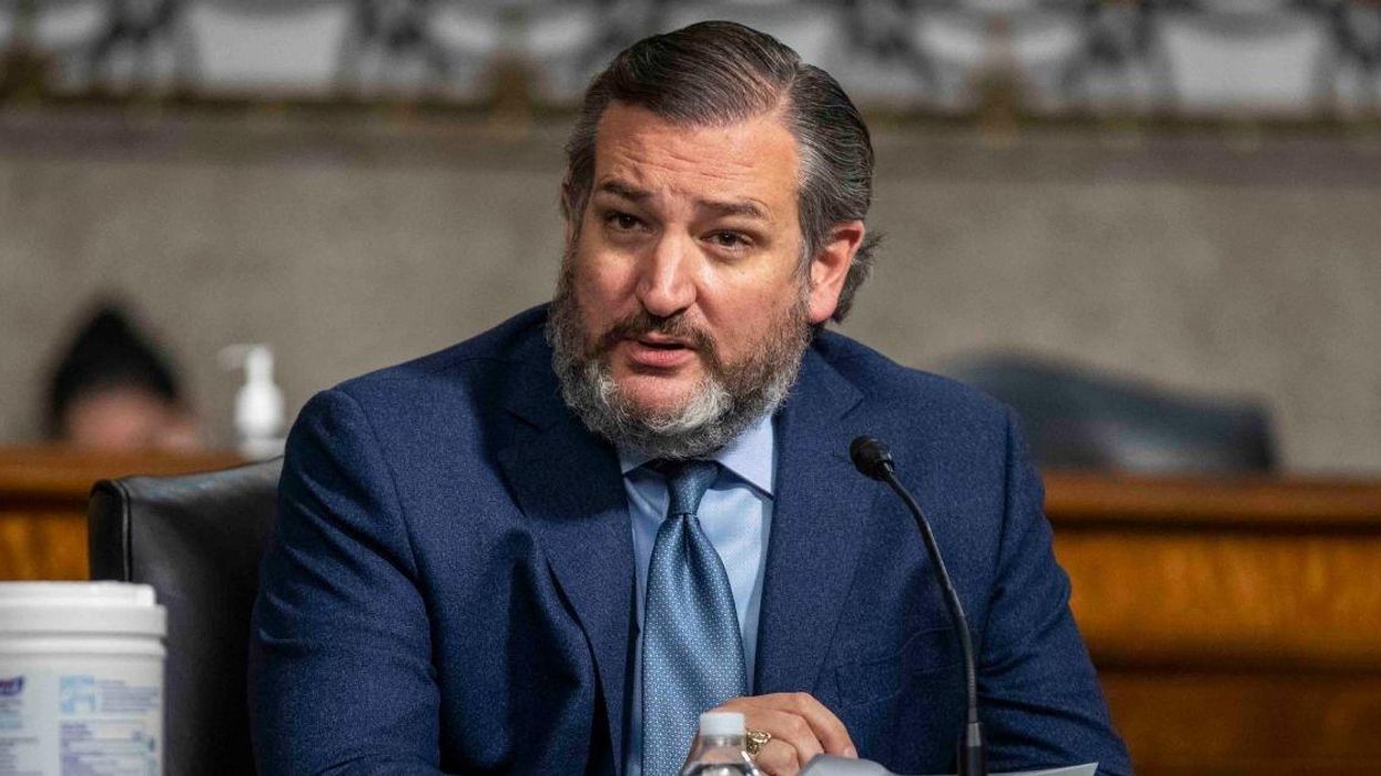 Ted Cruz Slammed For Crying Foul Over Biden's Non-Existent 'Ban' On Dr. Seuss Books