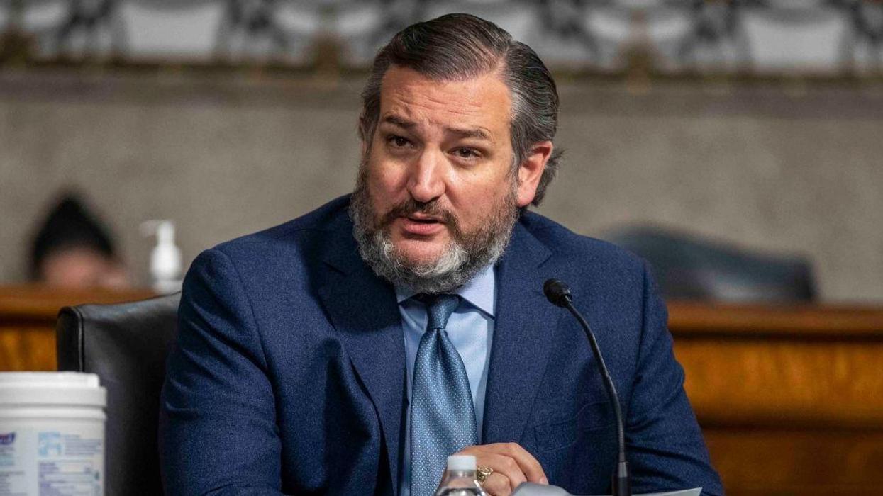 Ted Cruz Slammed For Crying Foul Over Biden's Non-Existent 'Ban' On Dr. Seuss Books
