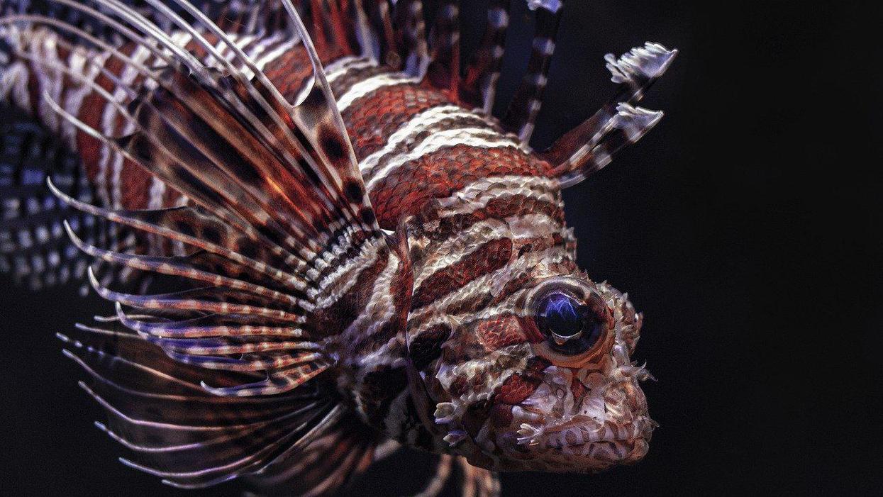 People Share The Creepiest Scientific Facts They Know