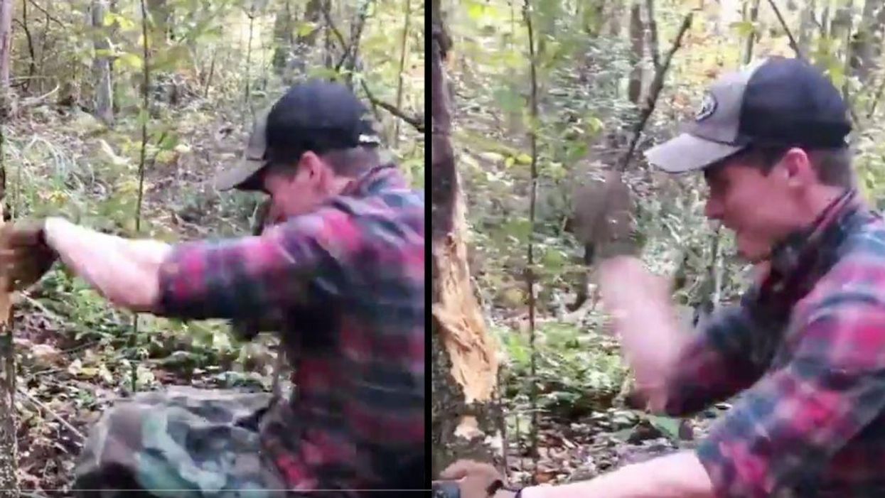 GOP Rep. Madison Cawthorn Dragged For Beating Up A Tree In Bizarre Resurfaced Video