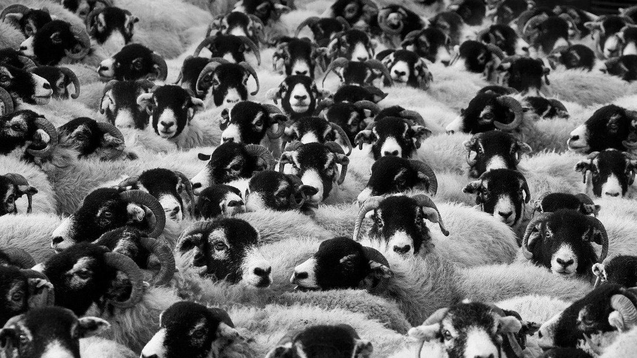 People Expose Modern-Day Cults That Fly Under The Radar