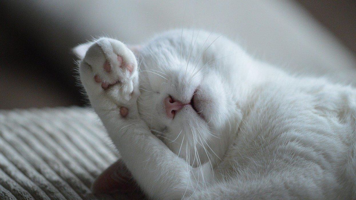 People Explain Which Minor Inconveniences Absolutely Drive Them Crazy