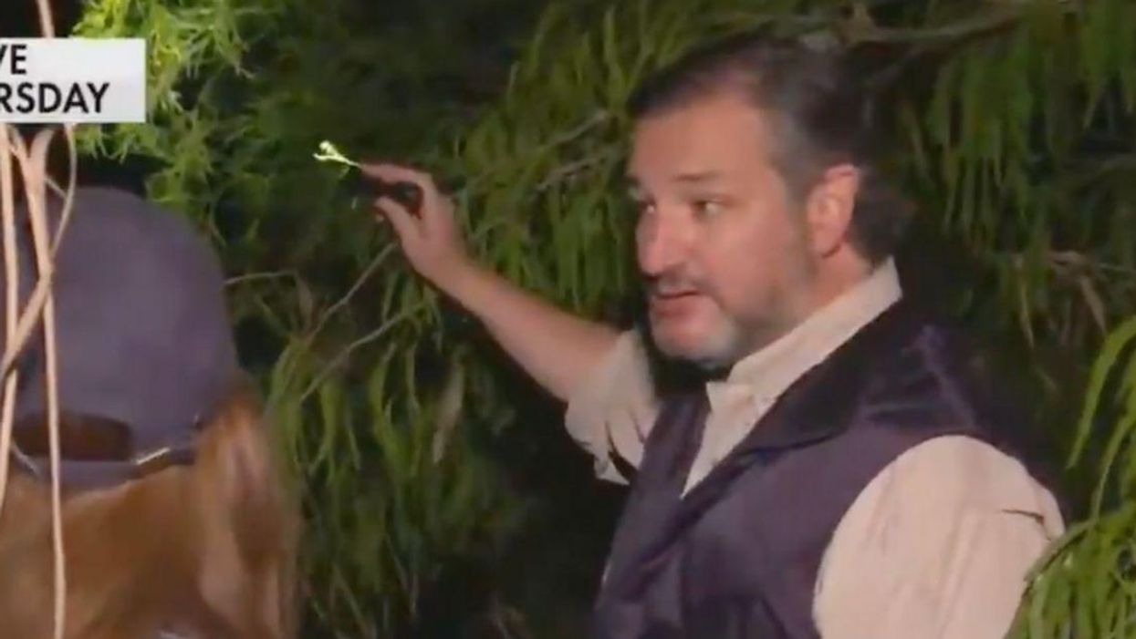 Ted Cruz Whines That Smugglers 'Taunted' Him At The Border—And Twitter Hilariously Pounced