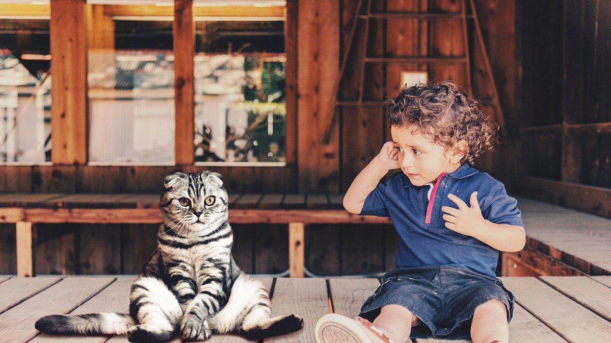 People Describe The Weirdest Thing They've Ever Seen At A Friend's House