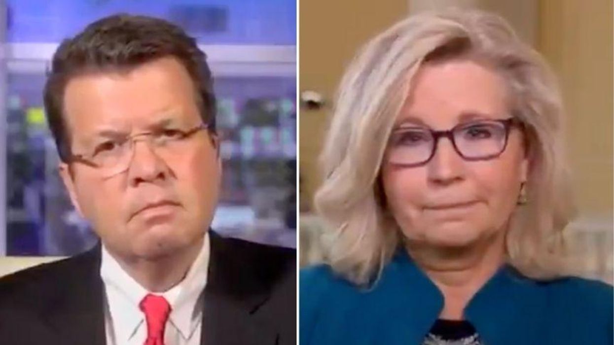 Liz Cheney Leaves Fox Host Speechless When Asked Whether She'd Support Trump in 2024