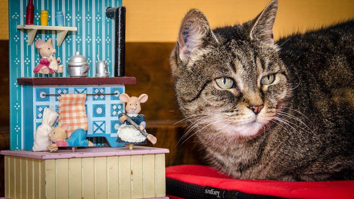 People Break Down Which Things Everyone Believes Are Bad For You But Are Actually Quite Healthy