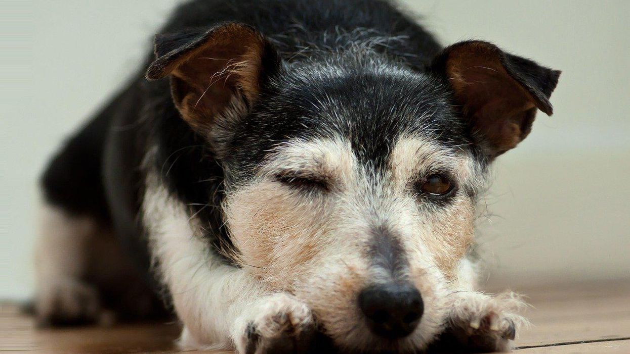 Night Owls Break Down The Creepiest Thing They've Ever Experienced Late At Night