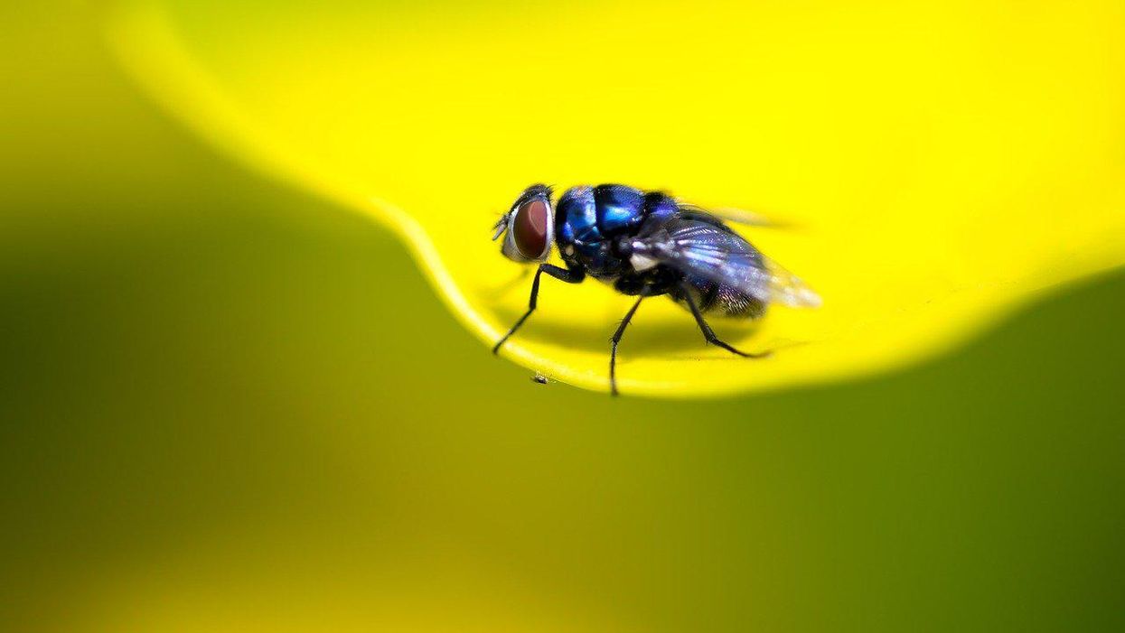 People Explain Which Things They Wish Would F*** Off