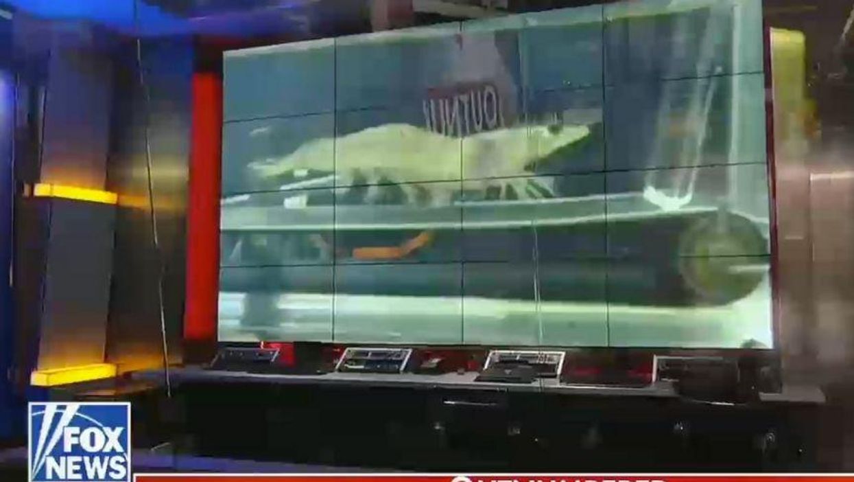 Twitter Brutally Mocks Fox News After It Trots out ‘Treadmill Shrimp’ Story to Slam Government Spending