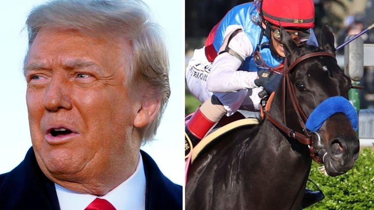 Trump Dragged for Bizarre Message Railing Against Kentucky Derby Winner as 'a Junky'