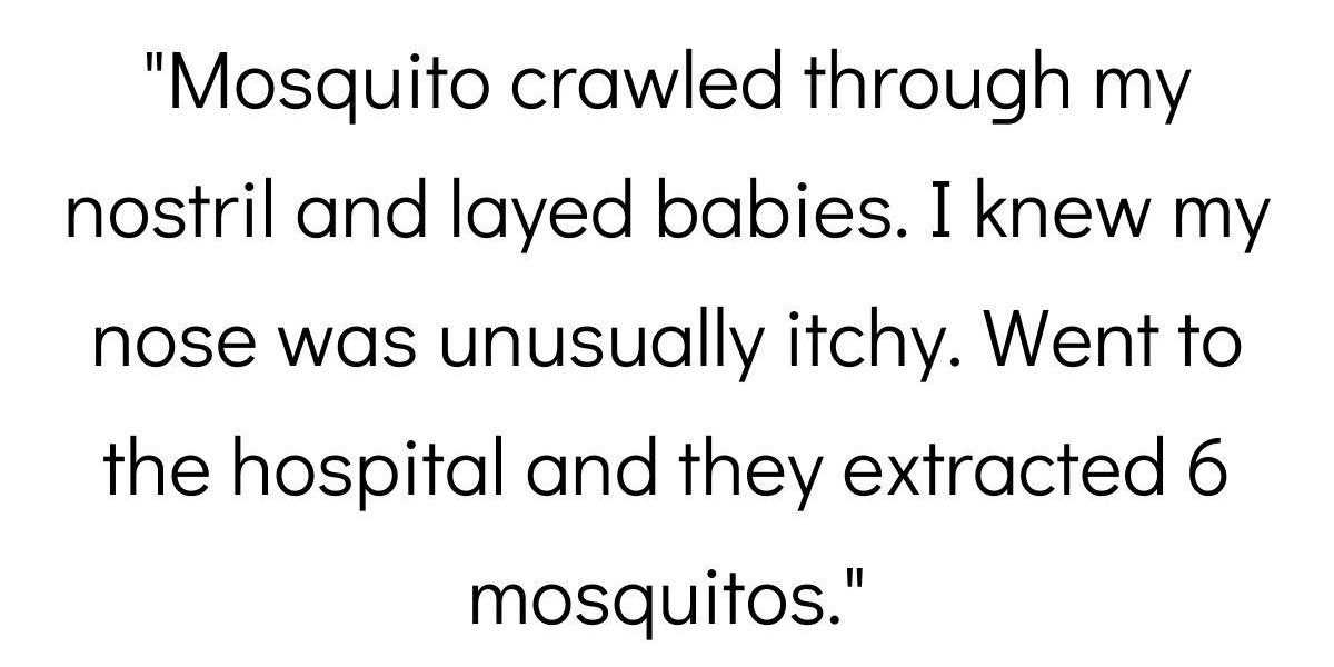 Celebrity Insect People Share Their Insect Horror Stories - Comic Sands