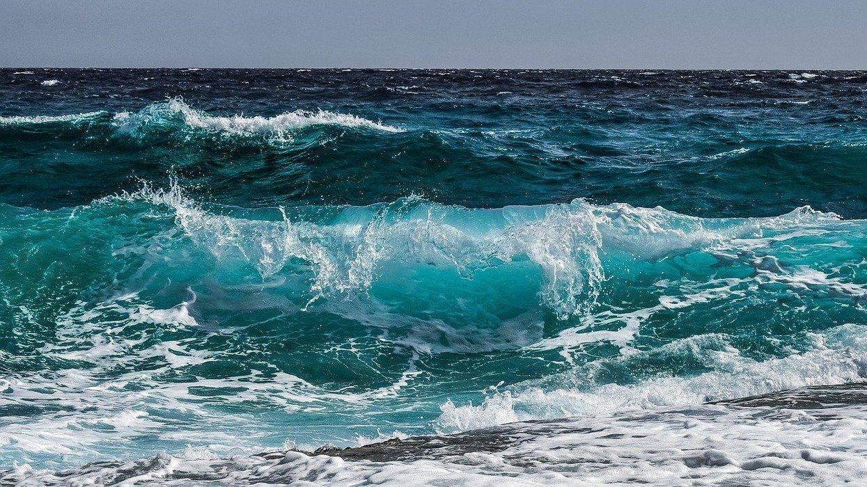 People Break Down The Scariest Facts They Know About The Ocean