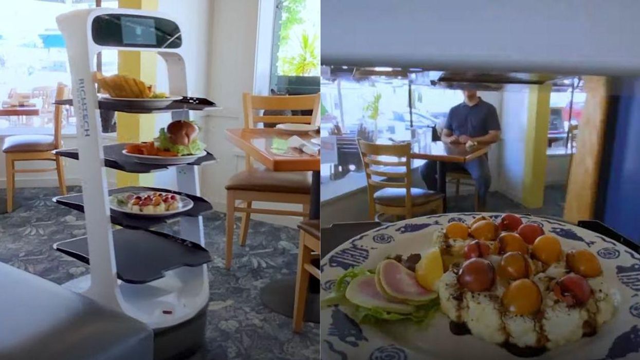 Restaurant Slammed For Using Robot Waiter Due To Worker Shortage Rather Than Increasing Wages