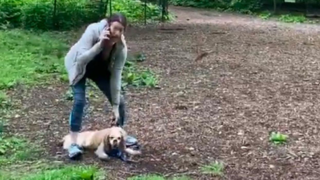 Woman Who Called Cops On Black Bird Watcher Sues Former Employer For Discrimination