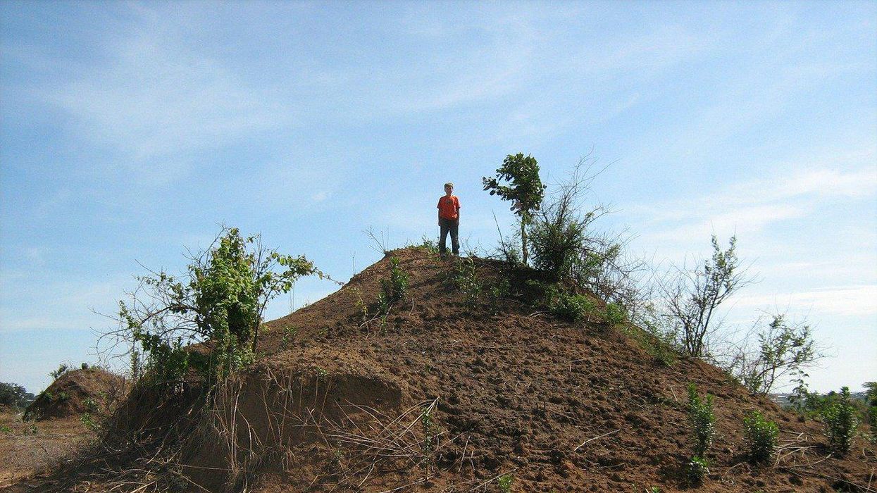 People Explain Which Seemingly Meaningless Hill They're Willing To Die On