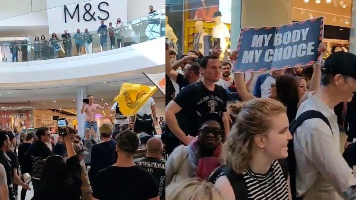Fully Open Stores Ironically Forced To Close After Anti-Lockdown Protesters Swarm Mall