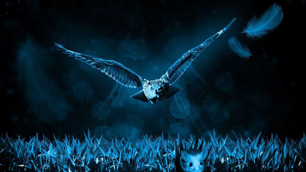 People Who've Known Someone On 'To Catch A Predator' Describe What They Were Like