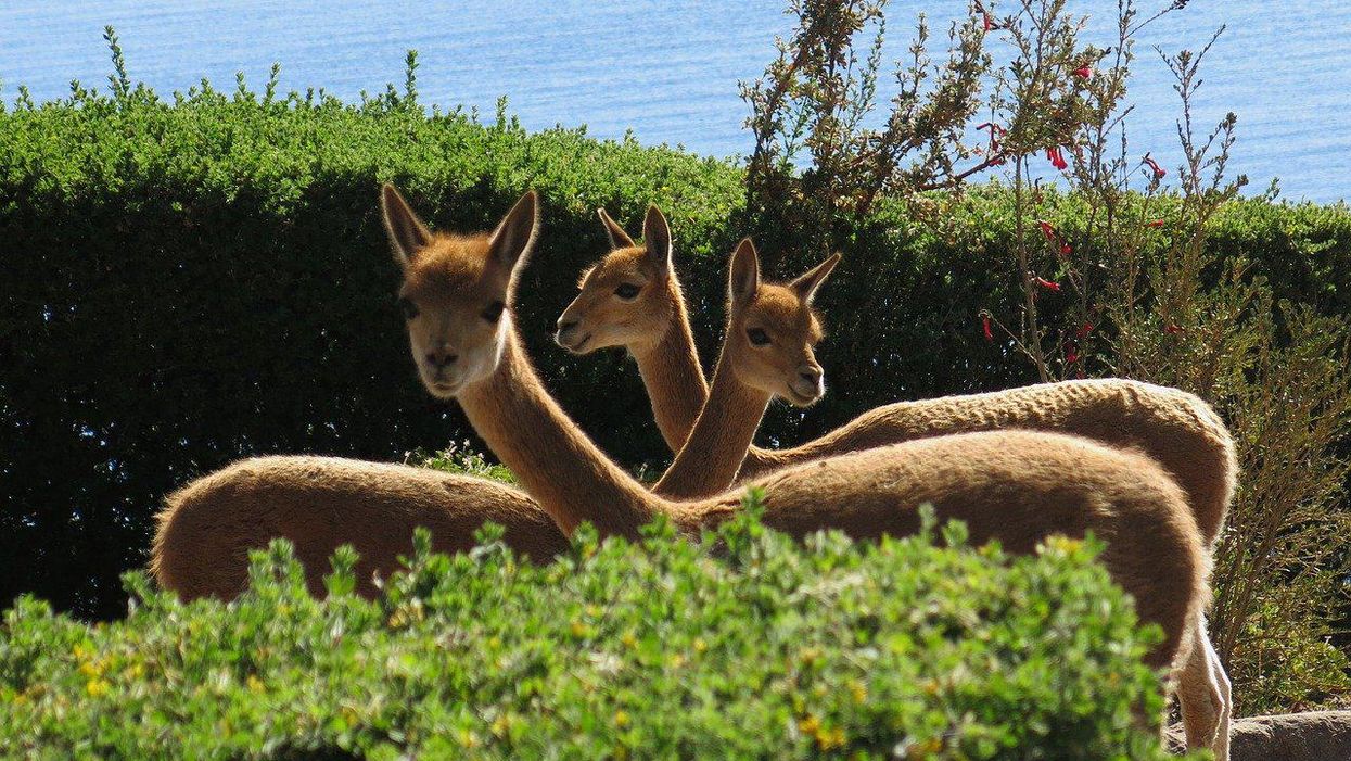 People Who've Participated In A Threesome Gone Wrong Break Down What Happened