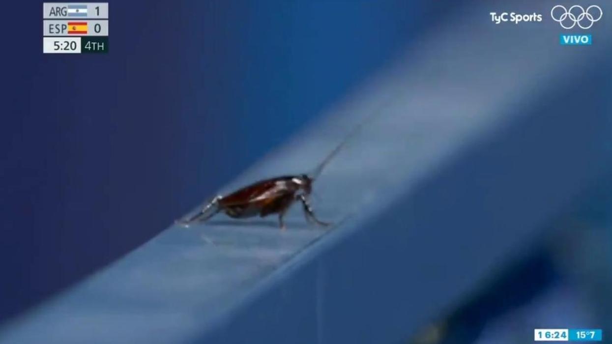 Olympics Viewers Baffled After Camera Operator Cuts Away From Field Hockey To Film A Cockroach