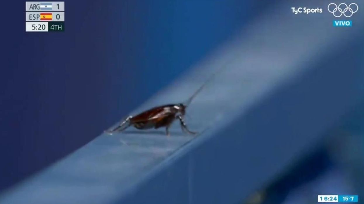 Olympics Viewers Baffled After Camera Operator Cuts Away From Field Hockey To Film A Cockroach