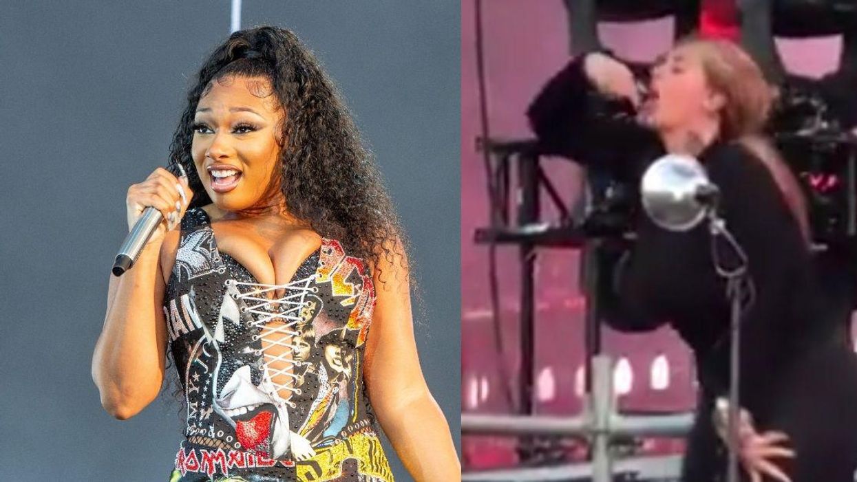 Fans Are Losing It Over Sign Language Interpreter's Enthusiastic Rendition Of 'WAP' At Lollapalooza