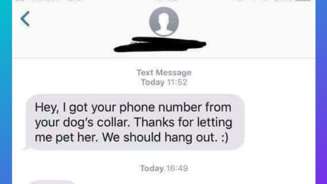 Dog Owner Creeped Out After Stranger Gets Phone Number Off Dog's Collar And Sends Texts