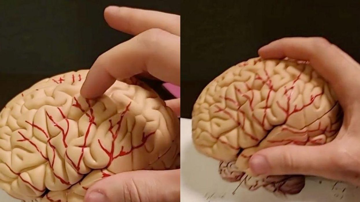 Evolutionary Biologist Explains Why Foot Fetishes Are So Common In Viral TikTok—And Yep, That Tracks