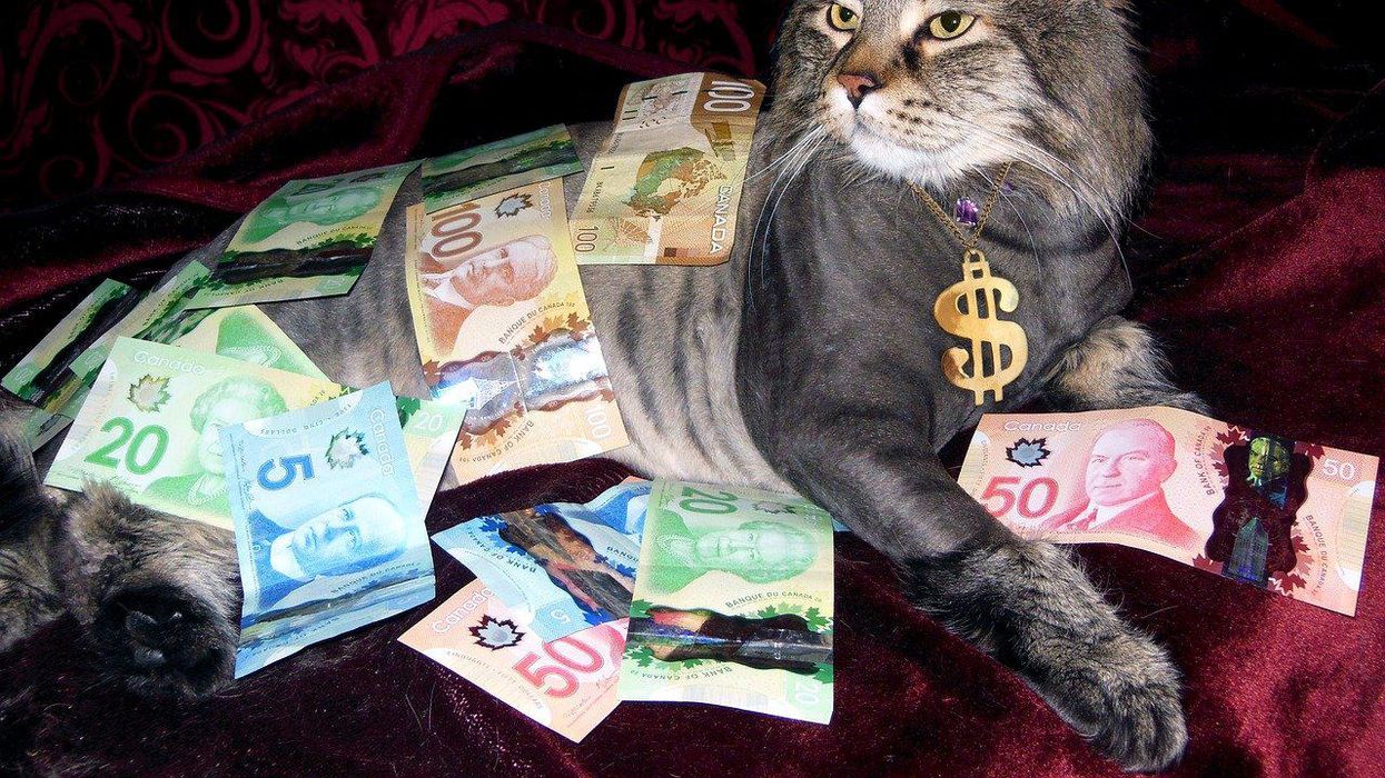 People Divulge The Biggest Realizations They Had As They Got Wealthier