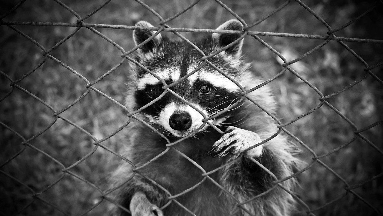 People Describe The Worst Thing They've Ever Been Caught Doing