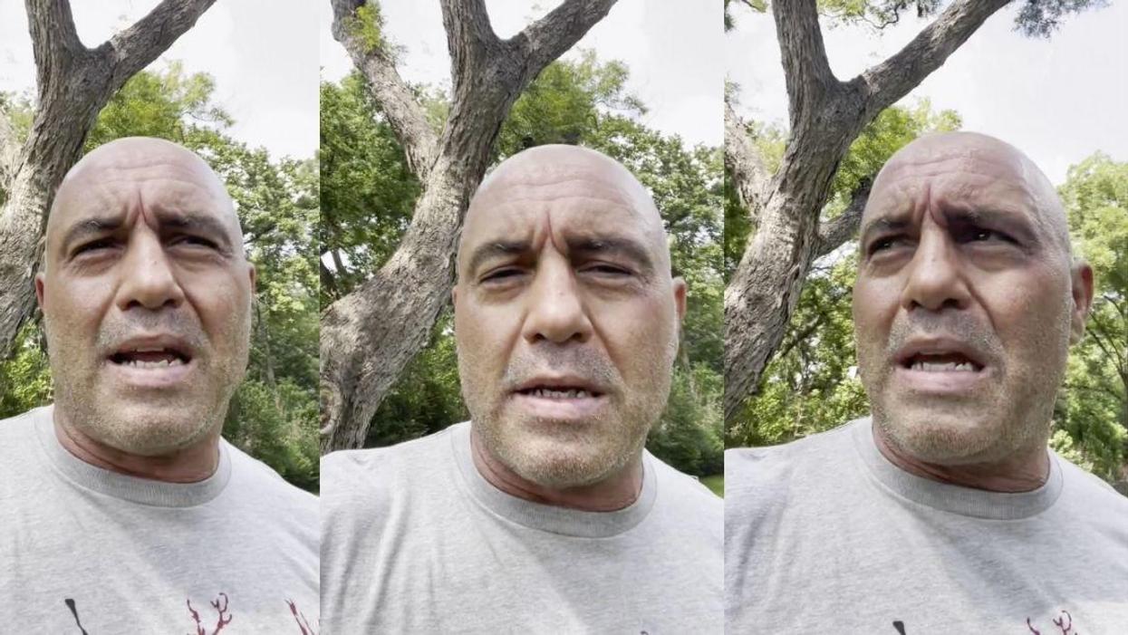 Joe Rogan Ripped For Taking Horse Deworming Meds After Contracting Virus On The Road
