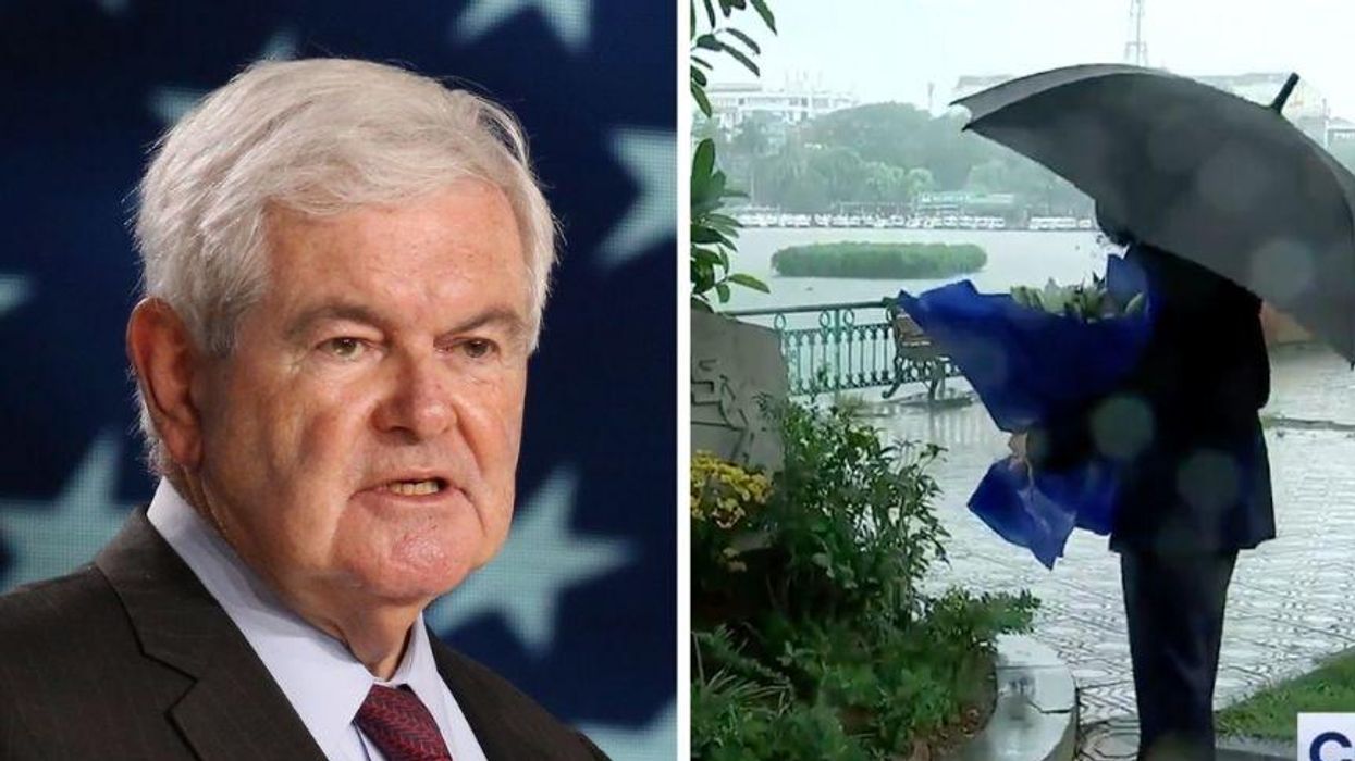 Newt Gingrich Brutally Fact-Checked After Slamming VP Harris for Honoring John McCain at Vietnam Memorial
