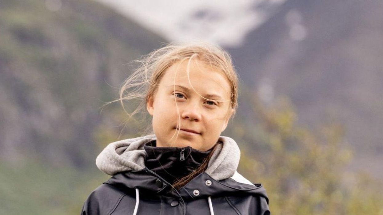 Greta Thunberg Shares Powerfully Blunt Pie Chart Listing All The Reasons Women Get Abortions