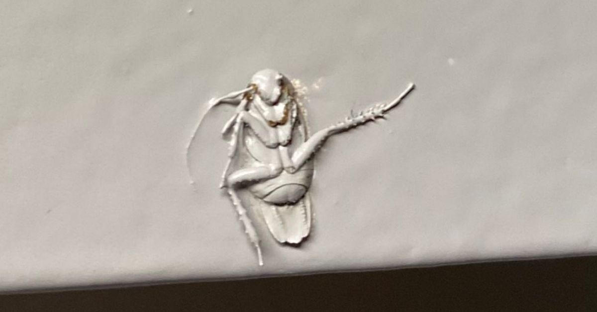 Twitter Has A Field Day After Someone's Landlord Hilariously Painted Over A Cockroach