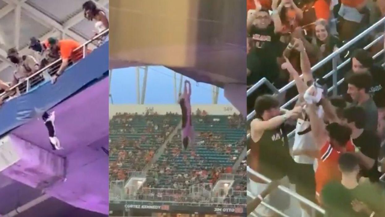Stressful Video Of Cat Falling From Ledge And Getting Caught By Football Fans Divides The Internet