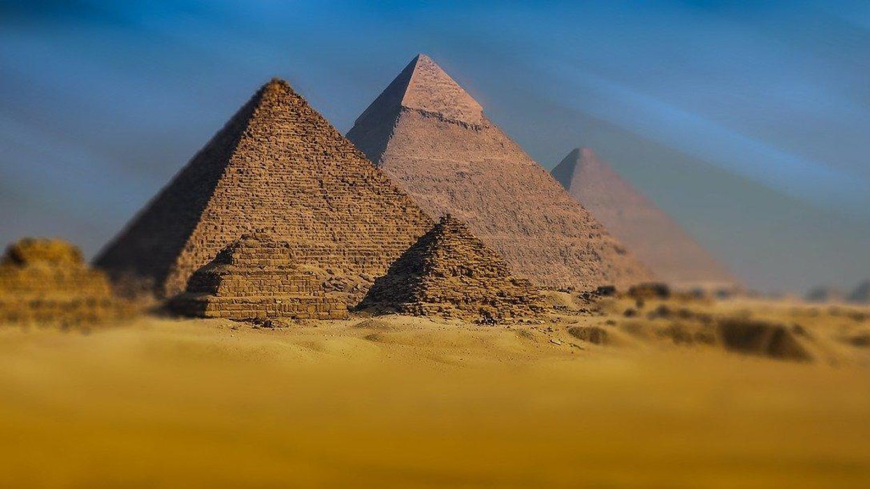 People Share The Most Surprising Facts They've Ever Learned