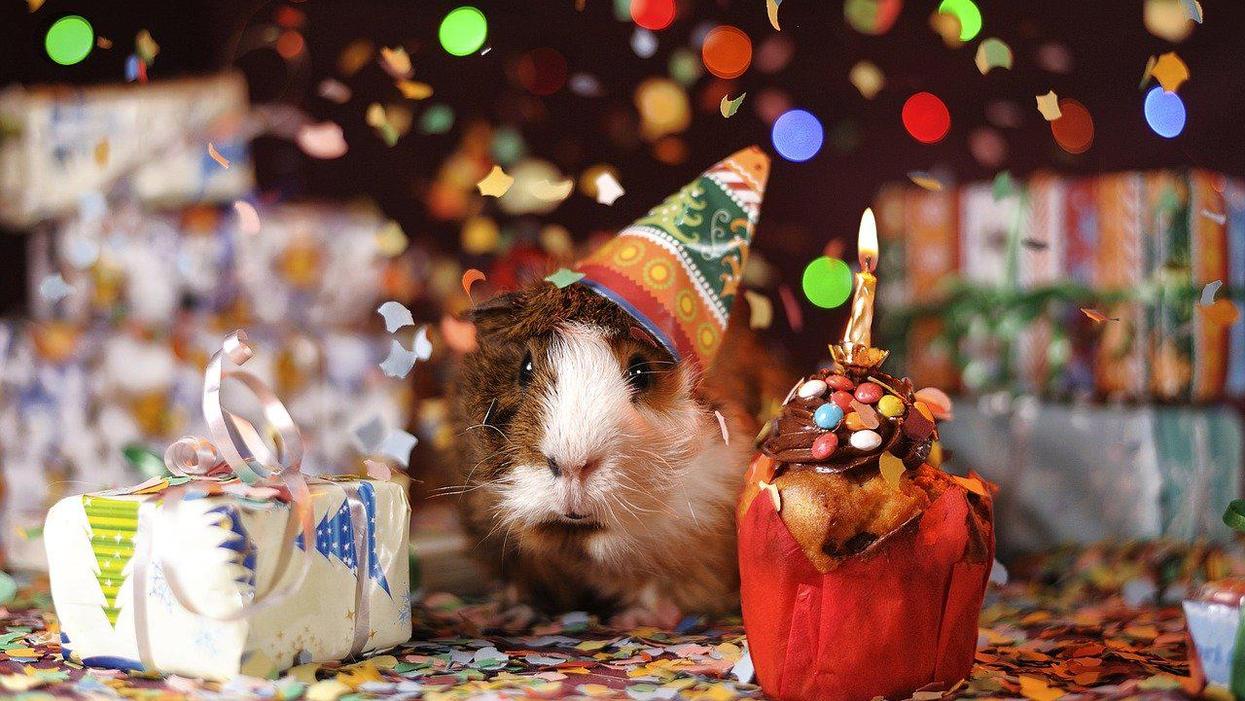 People Describe The Worst Birthday Gifts They've Ever Received