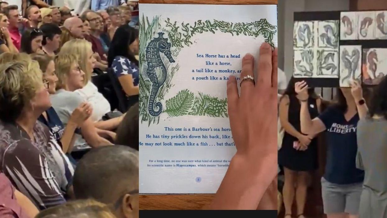 'Moms For Liberty' Group Outraged Over Children's Book That Describes How Seahorses Mate