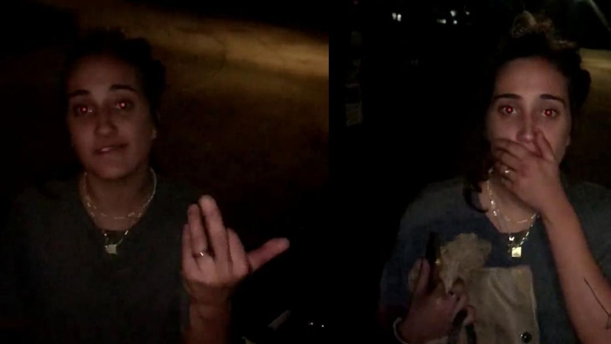 Woman Fired From Job After Telling Black Couple At Brooklyn Dog Park To 'Stay In Your Hood'