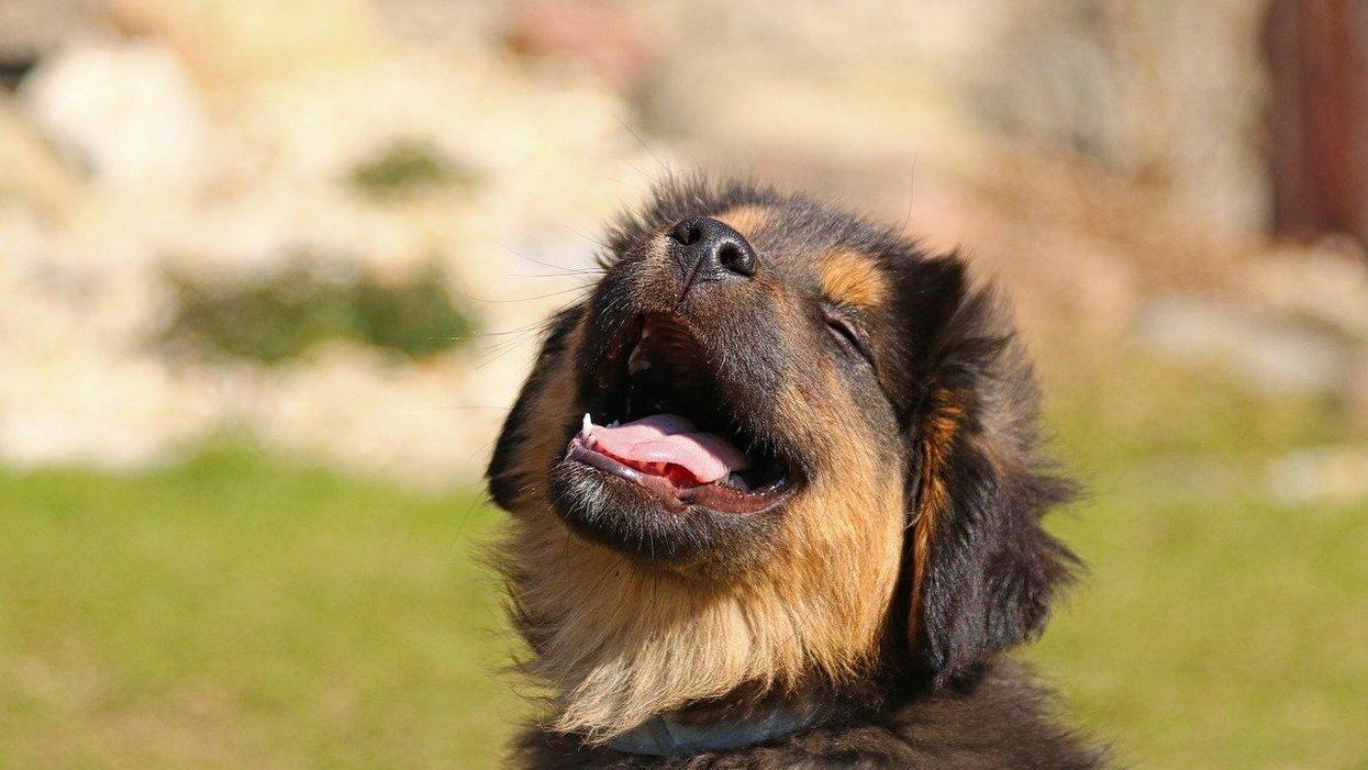 People Explain What Always Makes Them Laugh Uncontrollably