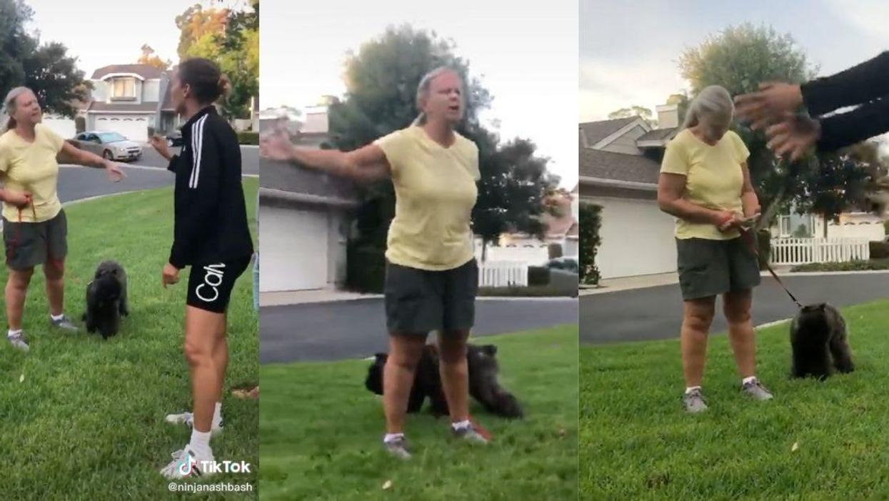 HOA Member Threatens To Call Cops On Black Woman Walking Dog Because She Doesn't Believe She Lives There