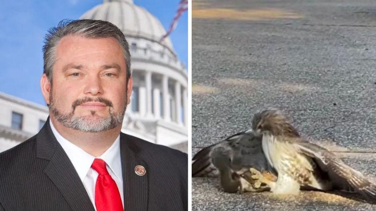 GOP State Rep. Mocked for Suggesting a Hawk Eating a Squirrel Is a Sign that Roe v. Wade Will Be Overturned