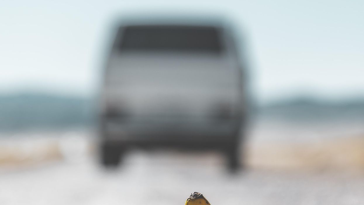 People Describe The Most Cartoon-Like Thing They've Ever Witnessed In Real Life