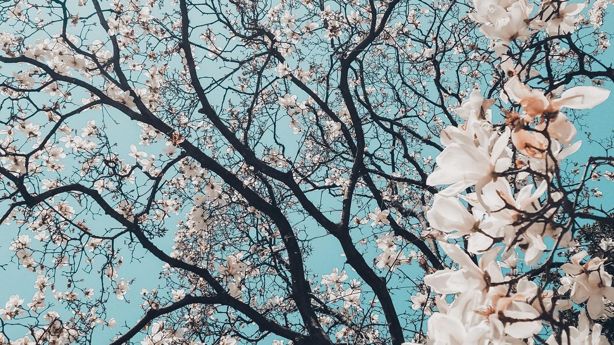 People Share Their All-Time Favorite Random Facts