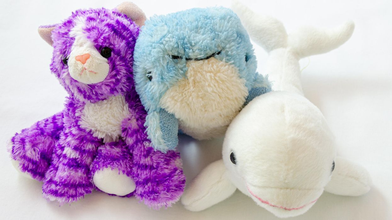 People Share Which Inanimate Objects Actually Get Their Sincere Sympathy