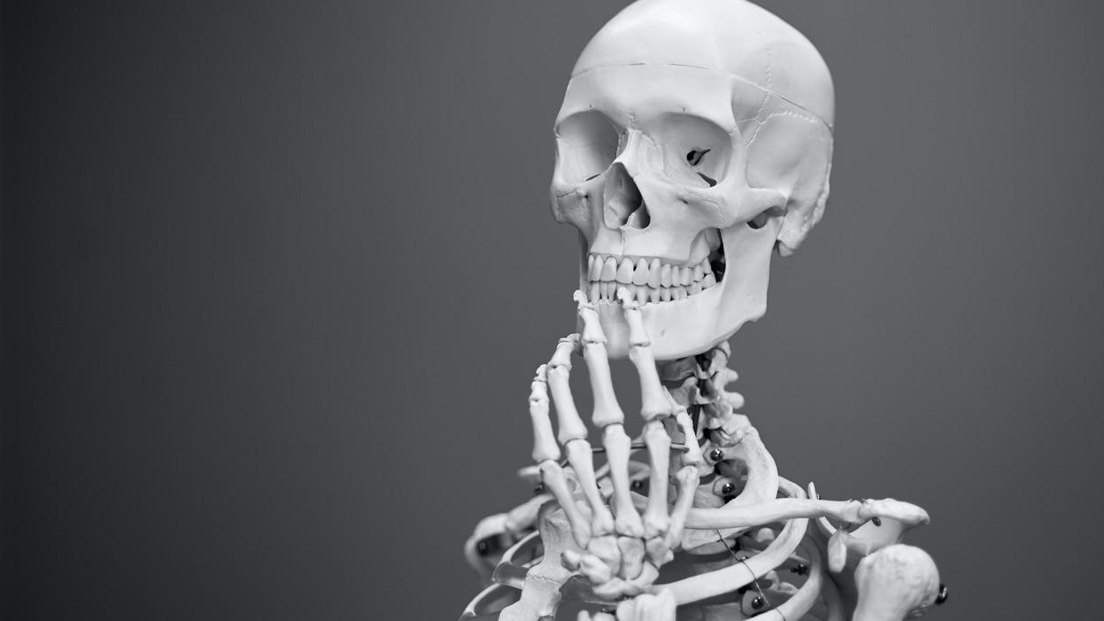 People Break Down The Most Poorly Designed Parts Of The Human Body