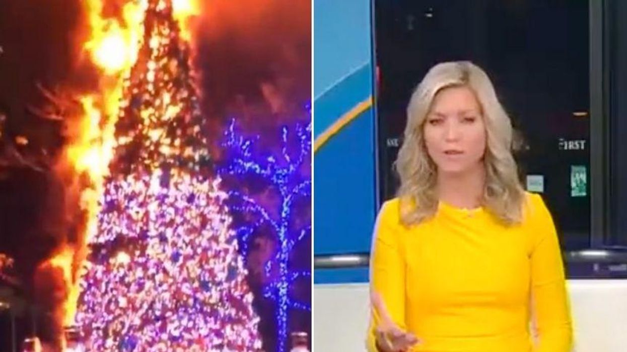 Fox News Host Mocked After Claiming Christmas Tree Is a Symbol of 'Jesus' and 'Hanukkah' in Bizarre Rant