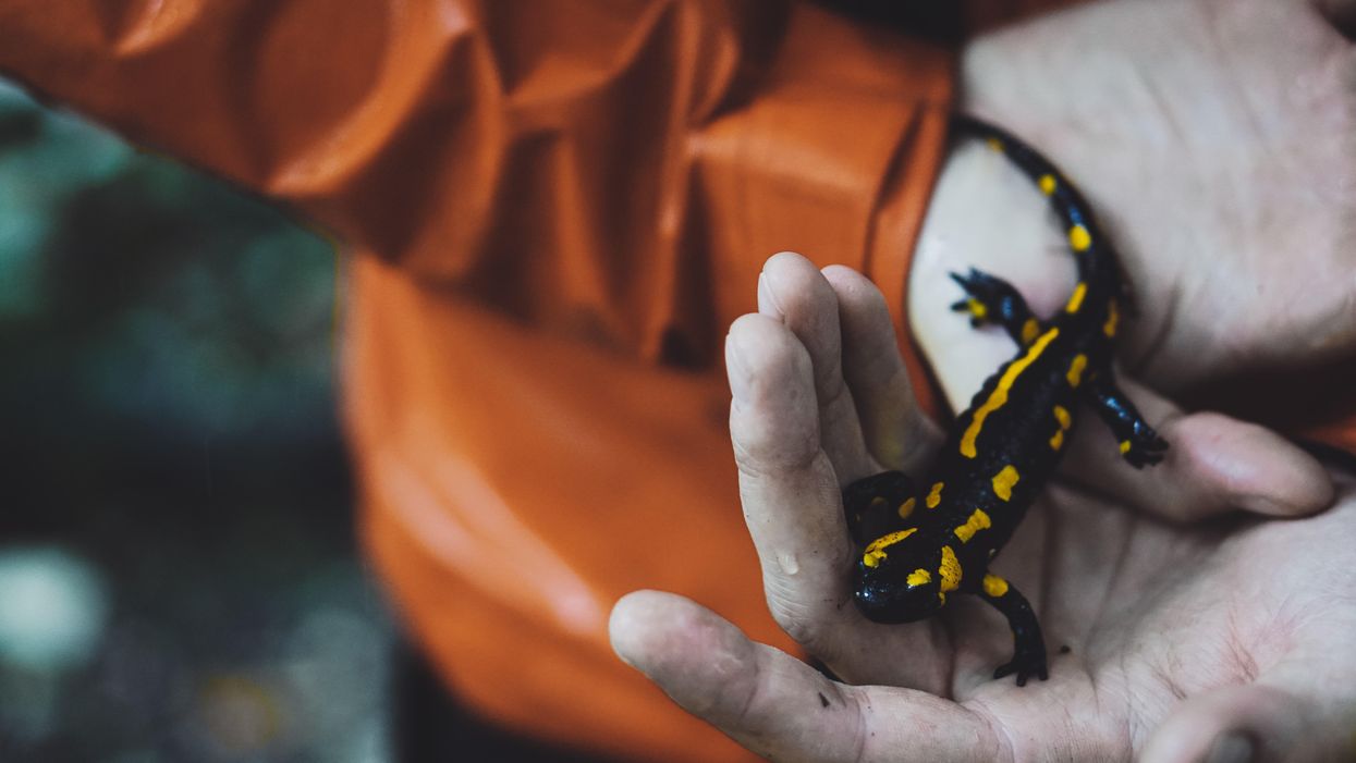 People Break Down The Things That Are Illegal But Not Unethical