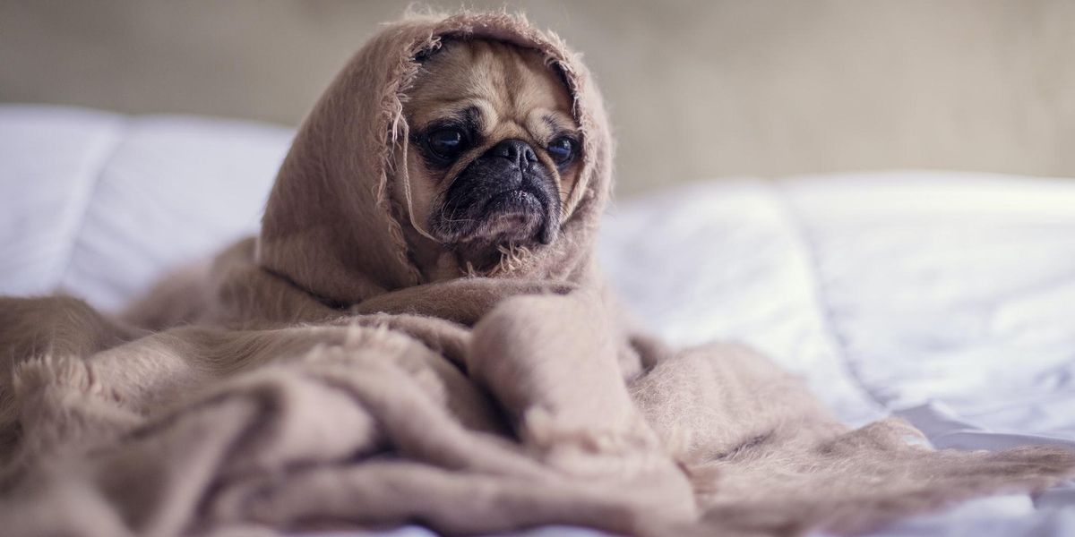 People Break Down The Things In Their Life That Are Making Them Unhappy